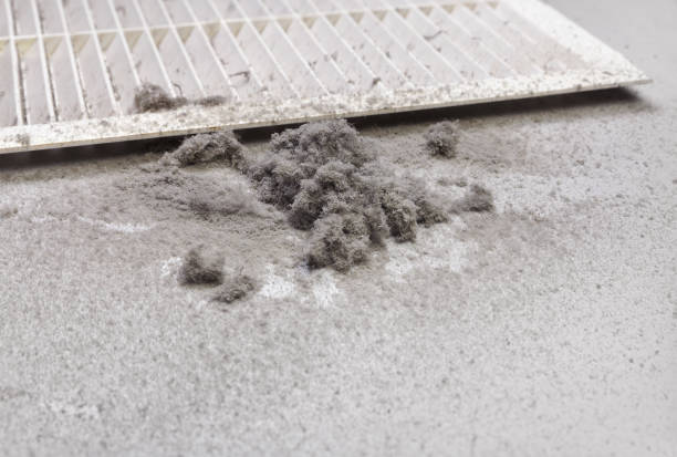 Best Local Air Duct Cleaning Services  in Holden, MO