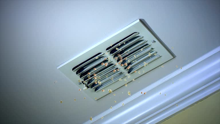 Affordable HVAC Duct Cleaning in Holden, MO
