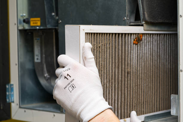 Best Affordable Air Duct Cleaning  in Holden, MO