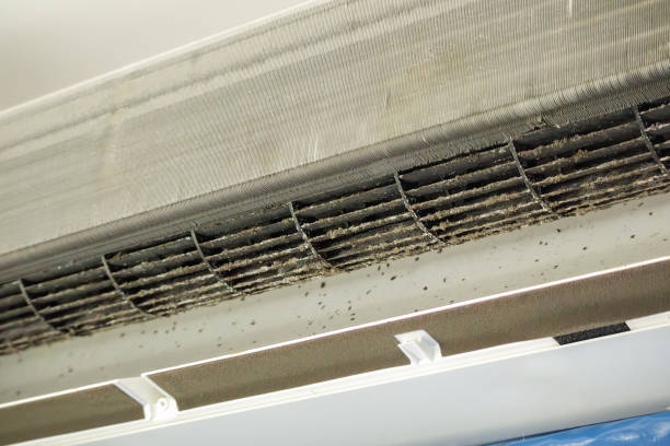 Ductwork Cleaning Services in Holden, MO