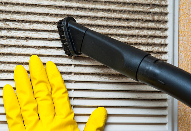 Best Home Air Vent Cleaning  in Holden, MO